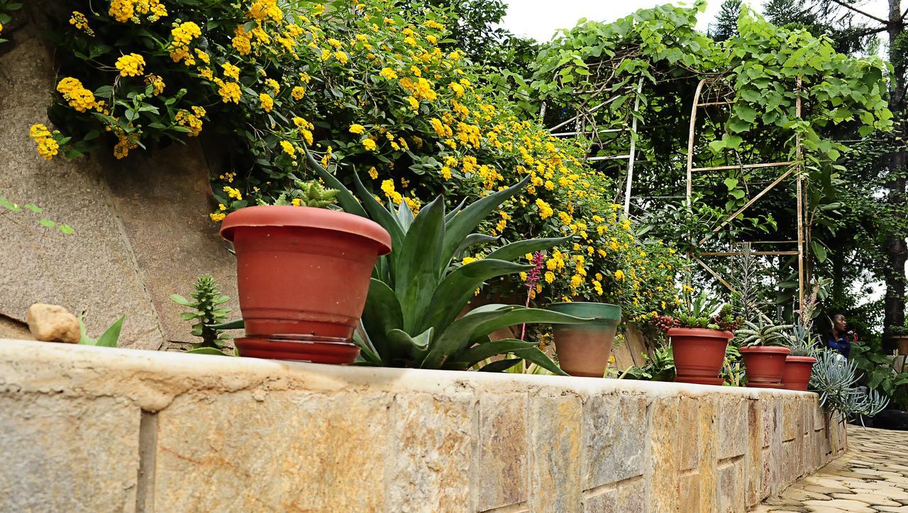 The Shoebill Nest Bed & Breakfast Kampala Dış mekan fotoğraf